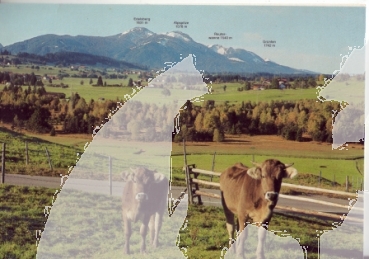 Wiesleutner Moos - D 1989 95 002 ●